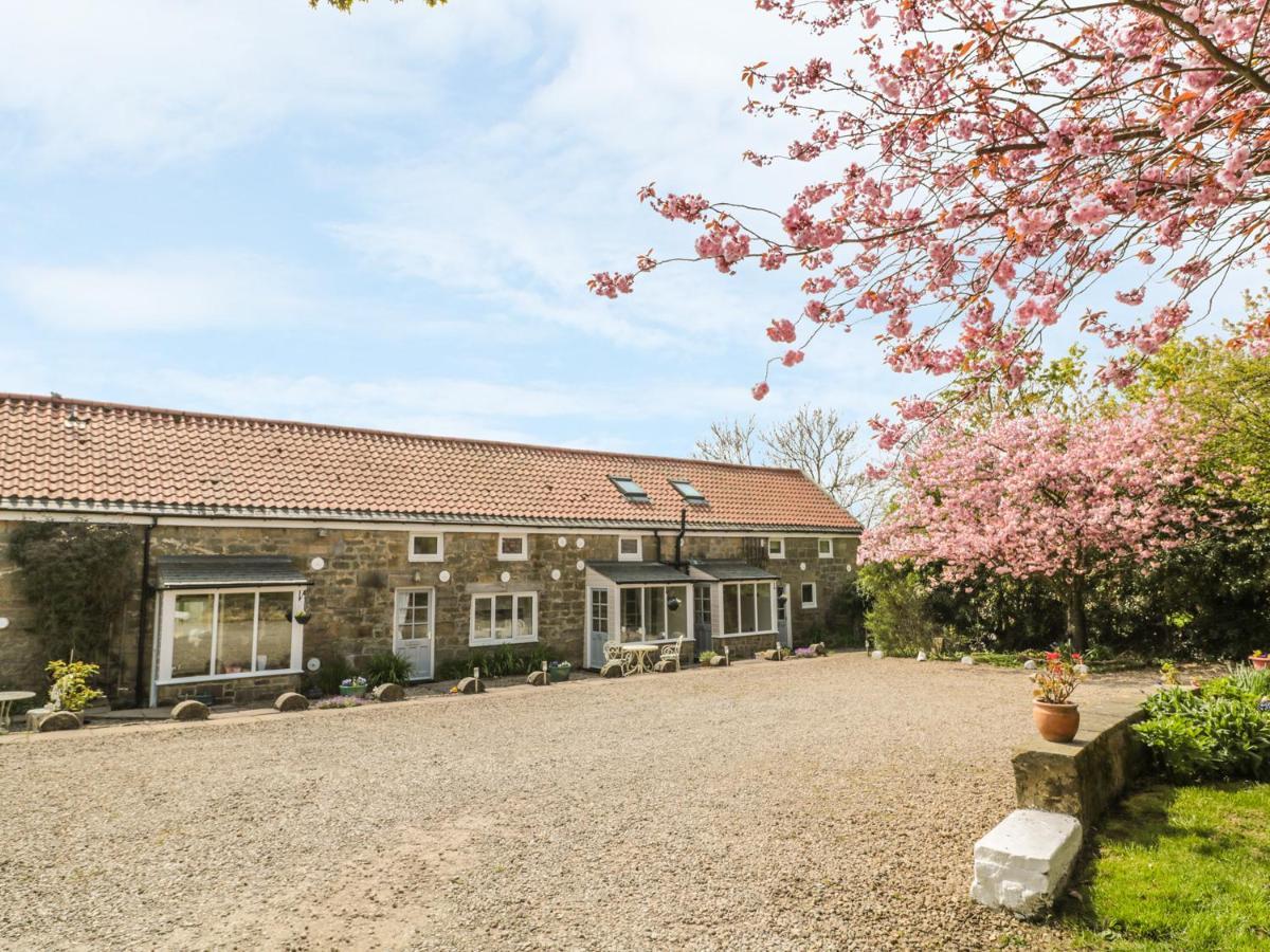 Robin Holiday home