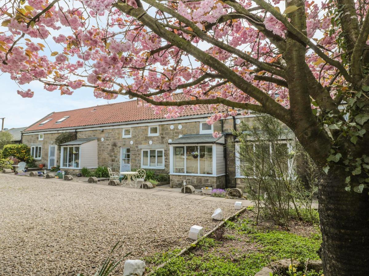 Robin Holiday home *